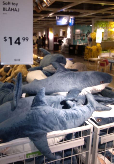 Even IKEA has them!!! | Shark decor, Shark room, Shark week