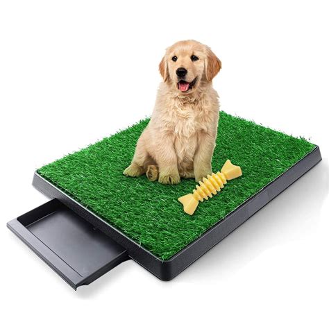 Pet Pal X Reusable Synthetic Plastic Artificial Grass Mat In The Puppy