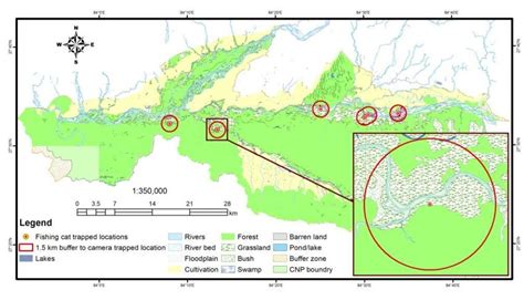 Habitat preference of the fishing cat based on camera trapped locations... | Download Scientific ...