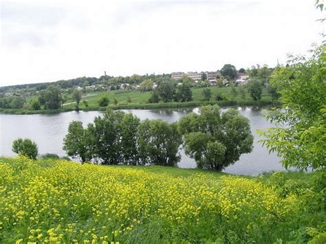 Наше відео :: Монастирищина туристична