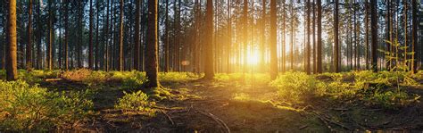 About Silver Line Psychology | Therapy in Irvine, CA