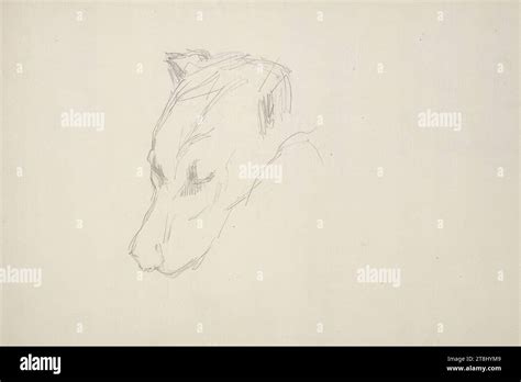 Sketch Of A Dog Upside Down In The Sketchbook Schuch Carl Sketchbook