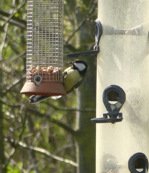 Flickriver Searching For Photos Matching Tits