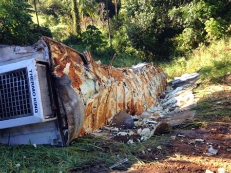 Moradores saqueiam carga de frangos após carreta tombar na BR 470 em