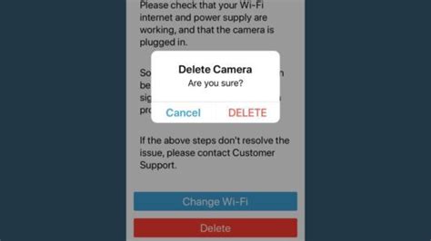 Can I Delete My Blink Account And Start Over Complete Guide Scan Techy