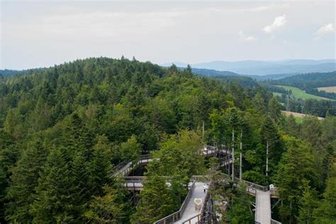 Krynica Zdrój zwiedzanie i atrakcje Co tu zobaczyć i ile to kosztuje