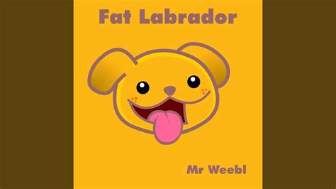 Fat Labrador Youtube