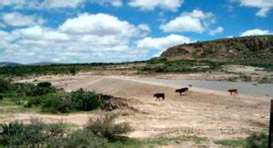 Pr Cticas Sustentables En Zonas Ridas Permitir Mejorar Producci N