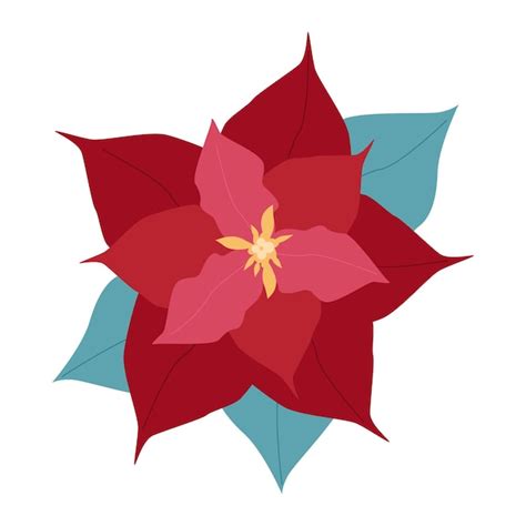 Poinsettia Rojo A O Nuevo Flor Navidad Estrella Dibujado A Mano