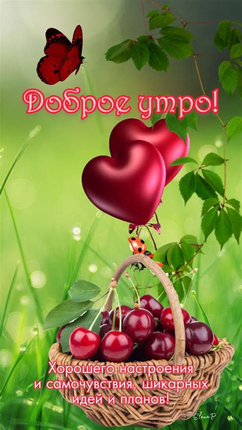 Доброе утро | Доброе утро, Счастливые картинки, Смешные открытки
