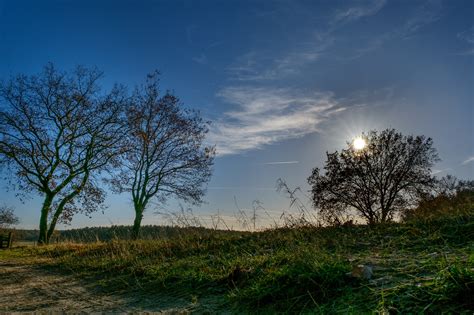 Free Images Landscape Tree Nature Forest Grass Outdoor Horizon