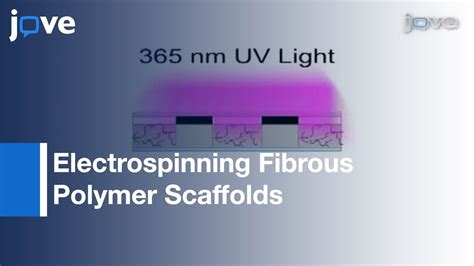 Electrospinning Fibrous Polymer Scaffolds For Tissue Engineering Cell