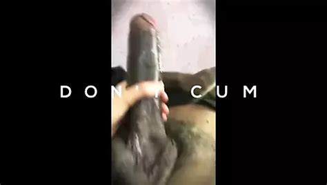 Bbc Sissy Training Worship Big Black Cock Compilation Porn Xhamster