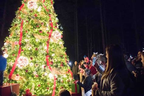 Pinehurst Christmas Tree Lighting Event Gallery