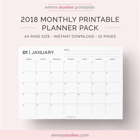 2018 Pineapples Monthly Planner 2