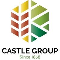 castle group eu linkedin
