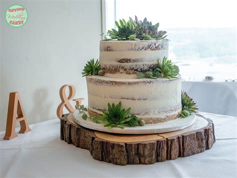 Semi Naked Cake With Succulents Wedding Cakes In Devon Cornwall Divine Wedding Cakes