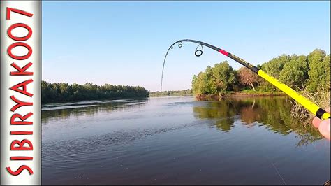 А это точно полосатый!?.. Ловлю окуня на резину Jackall. Рыбалка на ...