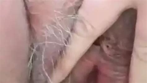 Free Pee Porn Videos 335 XHamster
