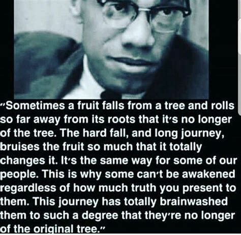 Pin By Eugene Sims Ii On Malcolm X Malcolm X Quotes African History