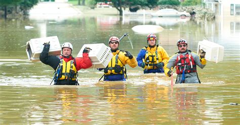 Animal Rescue Team