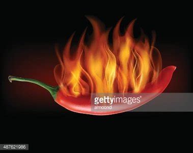 Red Hot Chili Pepper On Fire Vector Stock Vector Royalty Free FreeImages
