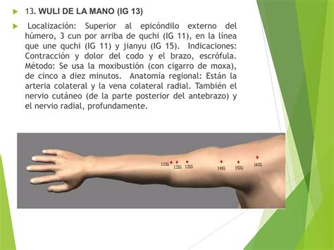 Meridianos Intestino Grueso Ppt