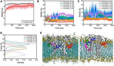 Frontiers Refinement Of Sars Cov Envelope Protein Structure In A