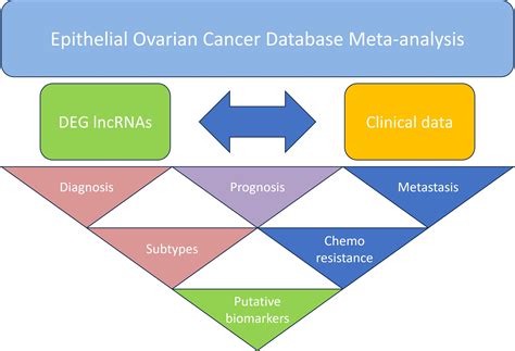 Ijms Free Full Text Identification Of Lncrnas Deregulated In