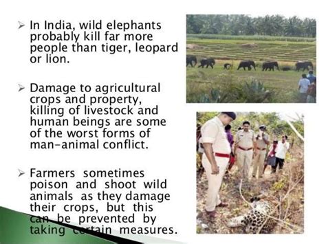 Hotspot of Biodiversity | PPTX