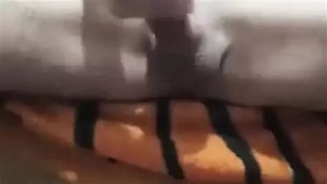 Fuck Big Dick XHamster