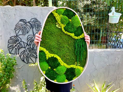 preserved moss wall art moss art wooden framed moss decor moss frame