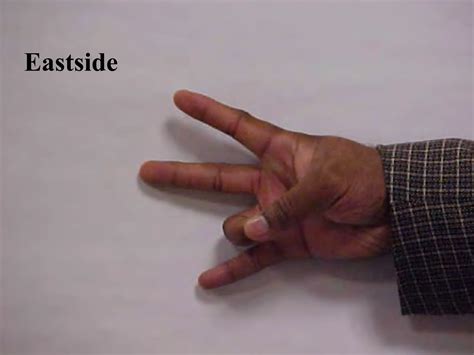 IPTM_Basic_Street_Gangs_Hand_Signs9k1.pdf
