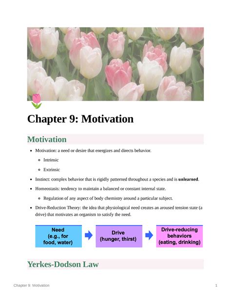 Chapter 9 Motivation Psy 201 With Linz Chapter 9 Motivation