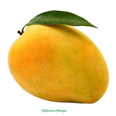Pin Di Adriana Figueroa Su Cliparts Fruits Mango Bacca Frutta Esotica