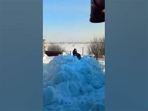 Ира выходи мы Пиво купили.💞 - YouTube