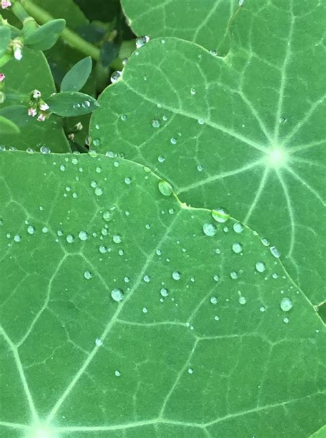 Future foundations will be established for jo andres 23