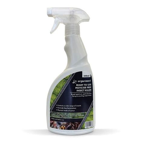 Why Do I Get Woodlice in My House? Common Causes and Solutions – PestBuddy