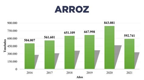 Paraguay Reiniciar Exportaci N De Arroz A M Xico