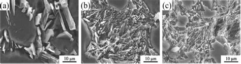 Typical Morphology Of Eutectic Si In Al Si Mg Cast Aluminum Alloy With