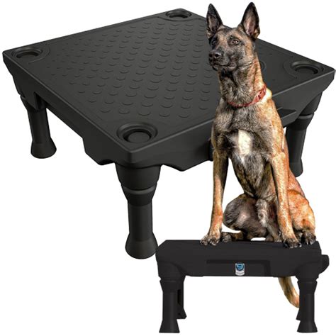 Klimb Dog Training Platform