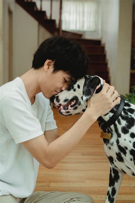 Celebrity Dalmatian Owners: A Look at the Stars Who Love This Breed