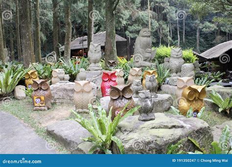 Cute Cute Owls Stock Image Image Of Owls Cute Taiwan 191350247