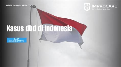 Kasus Dbd Di Indonesia Pt Mahaka Improcare Indonesia