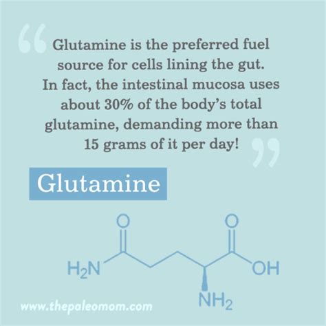 The Role Of Glutamine In Gut Health The Paleo Mom