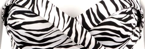 Zebra Print Bikini Girls Summer Closet Hottest Selling Bikinis Simple Black Bikini Fashion