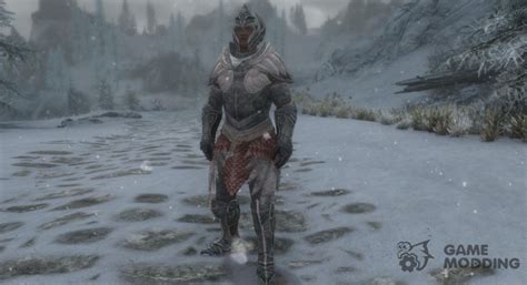 Gilded Elven Armor Skyrim