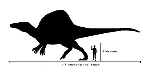 Spinosaurus Size Scale Dinosaur Pictures And Images Science For Kids