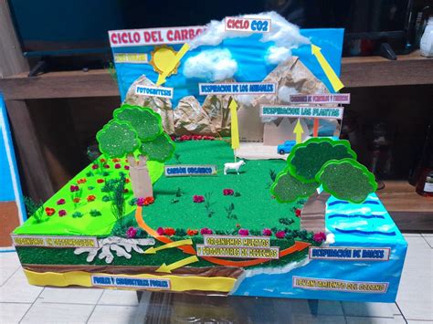 Maqueta Del Ciclo Del Carbono