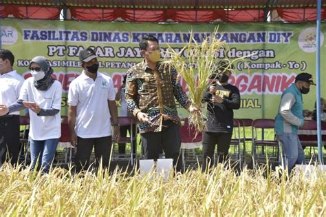 Wabup Sleman Mendukung Pengembangan Pertanian Modern ANTARA News